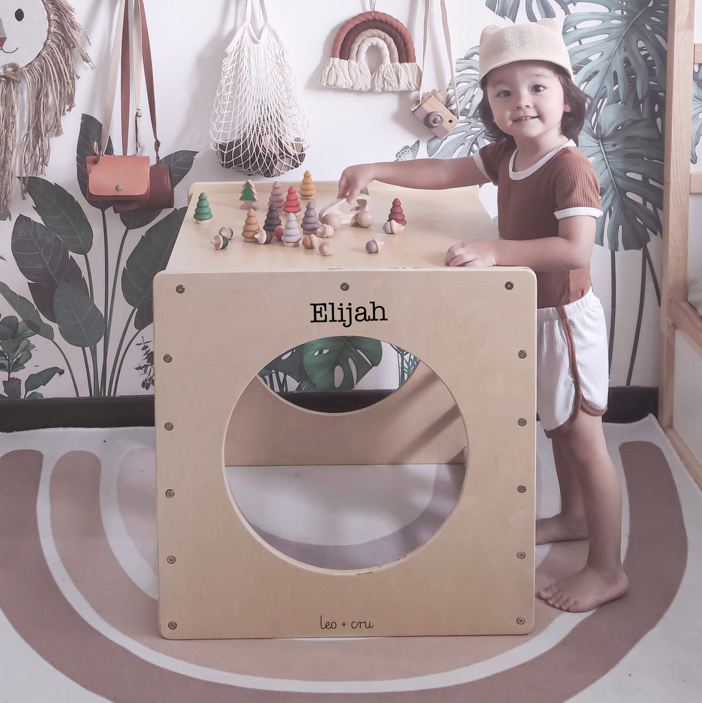 Wonder Cube + Reversible Slide